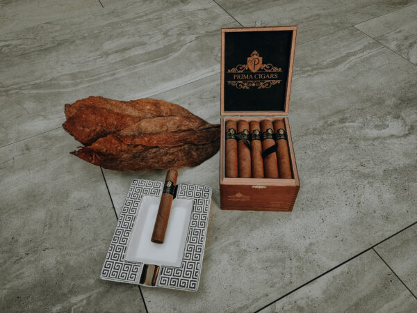Prima Cigars GmbH Zigarre Cigar 106 Gordo