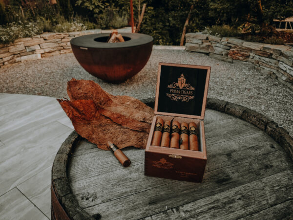 Prima Cigars GmbH Zigarre Cigar 007 Petit Robusto