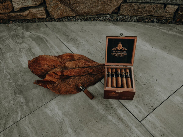 Prima Cigars GmbH Zigarre Cigar 007 Petit Robusto