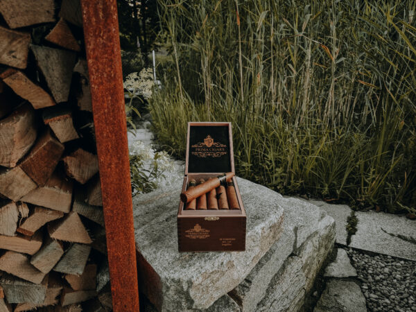 Prima Cigars GmbH Zigarre Cigar 329 Torpedo