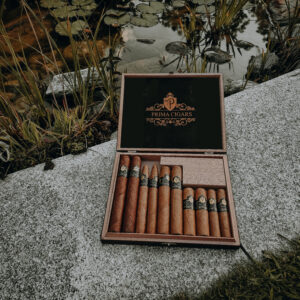 Prima Cigars GmbH Zigarre Cigar Kollektionsbox Zigarren Set Degustation